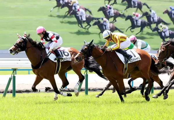 １４番人気の珍名馬激走で３連単１００万円超を演出「オカネモトンダ」「目玉とんだ」ネットは大騒ぎ　京都３Ｒのカモメガトンダ
