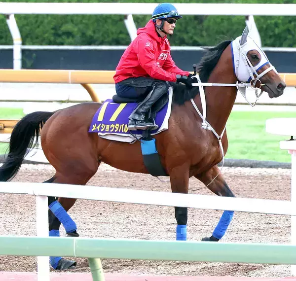【宝塚記念】「俺も５７歳やけど、しんどいよ」と武豊騎手を称賛　連覇狙うメイショウタバル陣営はリラックスムード