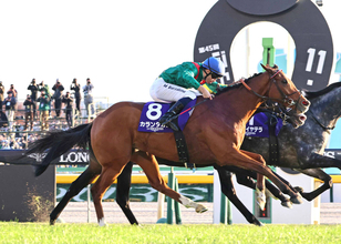 【注目馬動向】約１３億円ゲットのチャンス　カランダガンはジャパンＣ連覇が最大目標「東京以外で姿を見せる可能性は低い」