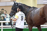 「【注目馬動向】ソフトバンク柳田悠岐オーナーのゴーイントゥノヴァは紫菊賞で無傷の２連勝狙う」の画像1