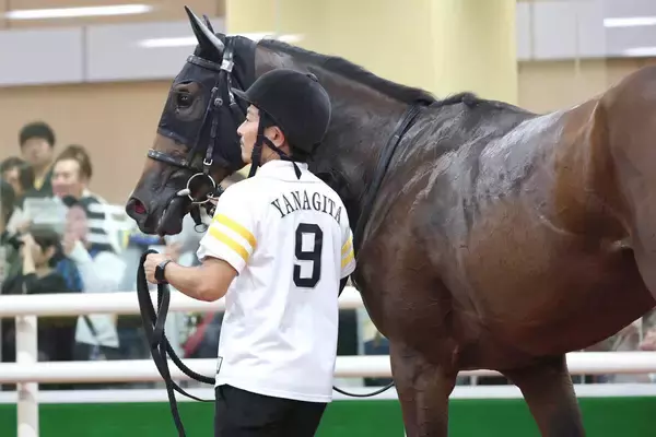 【注目馬動向】ソフトバンク柳田悠岐オーナーのゴーイントゥノヴァは紫菊賞で無傷の２連勝狙う