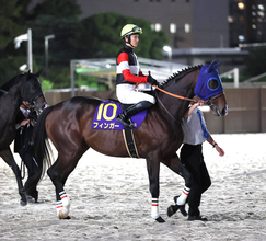【ＪＤクラシック】３歳ダート３冠達成ならず　坂井瑠星騎手「何が何でもハナで」逃げたフィンガーは失速して９着