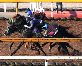 【菊花賞・１週前】２冠馬ロブチェンは主戦を背に上々の仕上がり　松山弘平騎手「先週よりグンと良くなりました」