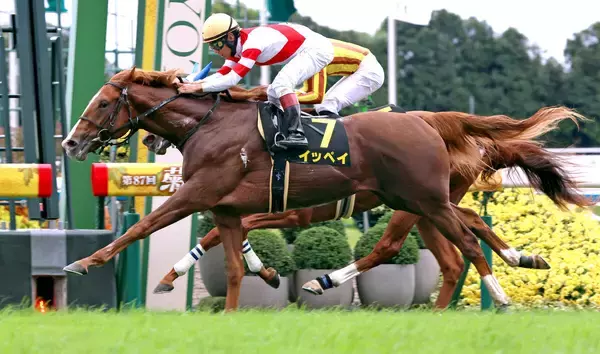 「来年のクラシックは…」「強すぎ問題」勢い止まらない新種牡馬にＳＮＳ興奮　萩Ｓイッペイ＆新馬ノヴァルクス勝利