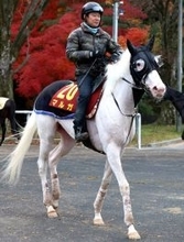 【注目馬動向】白毛のマルガは予定通り、武豊騎手と自己条件のつわぶき賞へ　登録した阪神ＪＦには向かわず