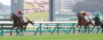 【中山５Ｒ・２歳新馬】１番人気ジーティーシンドウが力強く抜け出す　菅原明良騎手「力で押し切ってくれた」