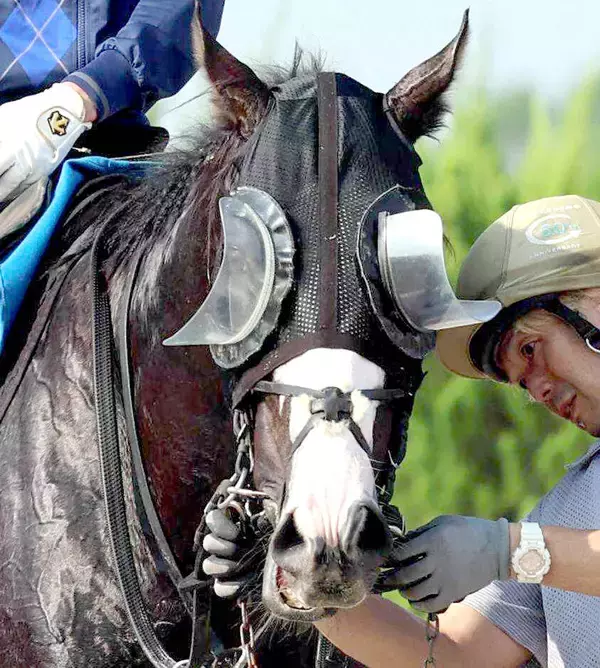 シュトラウスがＵＡＥのアブダビゴールドカップに出走　鞍上はジョアン・モレイラ騎手