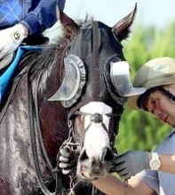 シュトラウスがＵＡＥのアブダビゴールドカップに出走　鞍上はジョアン・モレイラ騎手