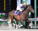 「【ダイオライト記念】「兵庫最強馬として、ここにきた」吉村智洋騎手が会心騎乗で７番人気オディロン大金星」の画像1