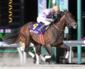 【ダイオライト記念】「兵庫最強馬として、ここにきた」吉村智洋騎手が会心騎乗で７番人気オディロン大金星
