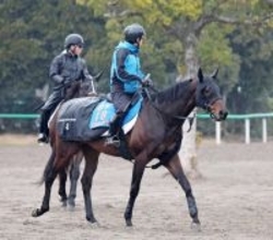 【日経賞】有馬記念２着馬コスモキュランダは昨年末からの好調をキープ　加藤士調教師「変わらずに来ています」