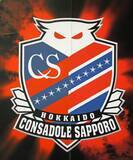 「【Ｊ２札幌】札幌Ｕ―１８監督をパワハラのため４月９日付で解任　スタッフらに対する態度を問題視」の画像1