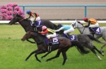 「写真判定」がトレンド入りした天皇賞・春の結果にＳＮＳ興奮「心臓止まる接戦」「ハラハラしてました」