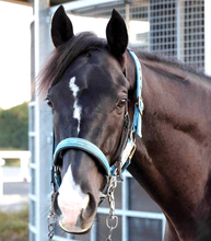 【注目馬動向】昨秋のジャパンＣ当日に出走取り消した２３年菊花賞馬のドゥレッツァは新潟記念で戦線復帰へ　キャロットクラブが発表