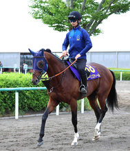 【注目馬動向】芝重賞５勝馬がダート初挑戦へ　レーベンスティールの次走は１０月の南部杯へ　キャロットクラブ発表