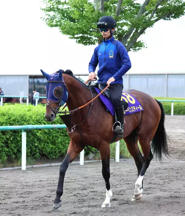 【注目馬動向】芝重賞５勝馬がダート初挑戦へ　レーベンスティールの次走は１０月の南部杯へ　キャロットクラブ発表