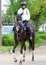 【レディスプレリュード・枠順確定】秋初戦のダブルハートボンドは２枠２番　重賞２連勝のメモリアカフェは５枠７番
