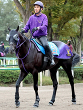 【富士Ｓ】重賞３勝馬トロヴァトーレ逆襲へ　安田記念９着も鹿戸調教師「流れに乗れていれば違った結果だった」