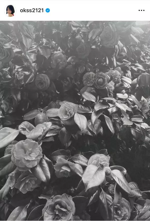 モデルのｅｍｍａ、１２年間所属のスターダストプロモーション退所を報告