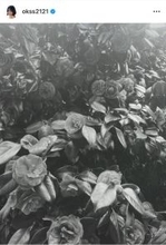 モデルのｅｍｍａ、１２年間所属のスターダストプロモーション退所を報告