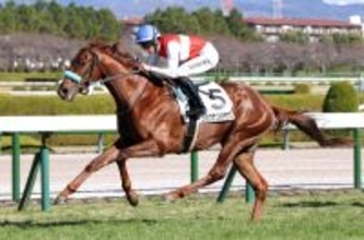 【阪神５Ｒ・２歳新馬】ショウナンハヤナミが２馬身差Ｖ　３週連続新馬勝ちの渡辺調教師「期待が持てます」