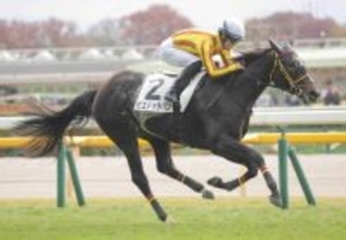 【私の推し馬】牧場経験者の私は今後の活躍を確信！「感謝の気持ちは常に...」そう話す千葉調教師管理のピエドゥラパン