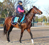 「【注目馬動向】東京新聞杯５着のシリウスコルトは引き続き三浦皇成騎手でダービー卿ＣＴへ」の画像1