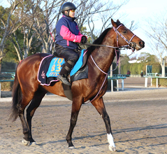 【注目馬動向】東京新聞杯５着のシリウスコルトは引き続き三浦皇成騎手でダービー卿ＣＴへ