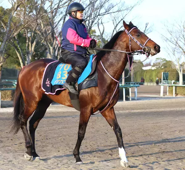 【注目馬動向】東京新聞杯５着のシリウスコルトは引き続き三浦皇成騎手でダービー卿ＣＴへ