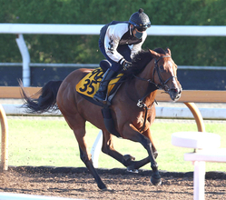 【府中牝馬Ｓ】パラディレーヌは久々に当週コース追い　軽めの３ハロン追いにも千田調教師「そんなにやらなくていい」
