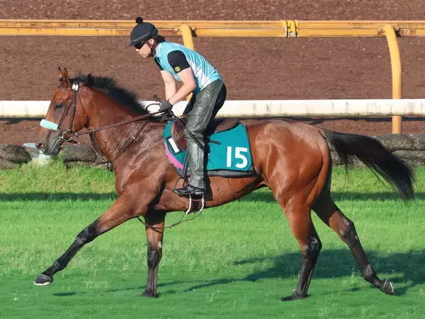 【今週のトク注新馬】乗り込み量十分なサンライズジャポネは札幌の芝で初陣　半兄はサンライズジパング「芝もダートもやれそう」