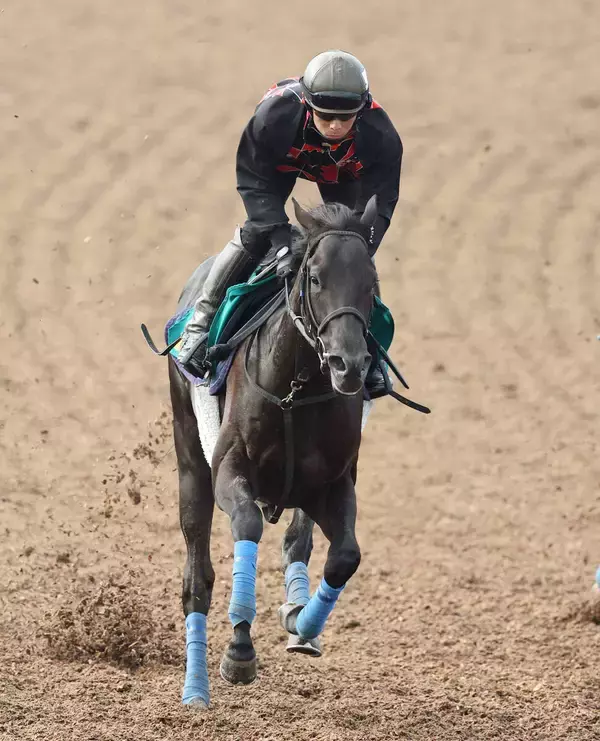 【私の推し馬】兄弟でのダービー制覇も夢じゃない！？まだ１勝馬でも成長力抜群のチャリングクロス　
