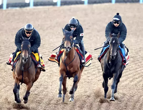 【フェブラリーＳ】コスタノヴァ連覇へ上昇ムード　木村調教師「コンディションは上がっています」