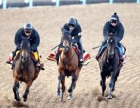 【フェブラリーＳ】コスタノヴァ連覇へ上昇ムード　木村調教師「コンディションは上がっています」