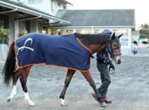 【報知杯ＦＲ】コラルリーフ“報知杯連勝”で桜切符だ