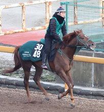 【アザレア賞・山下の特注馬】アーレムアレスが今度こそ２勝目を挙げる　橋口調教師「食べたものが実になっている」
