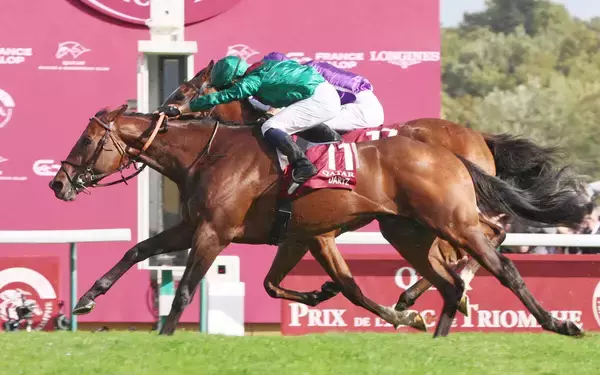 「また歴史作る予感」「すでに優勝モード」昨年の凱旋門賞ダリズの始動戦をネット注目　あす仏Ｇ１ガネー賞