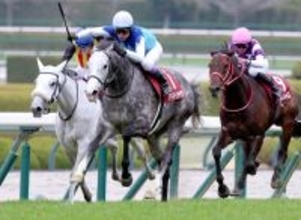 【天皇賞・春・超ブル診断ステップレース編】非の打ちどころがない勝ちっぷりだった一頭が個別評価最高「Ｇ」