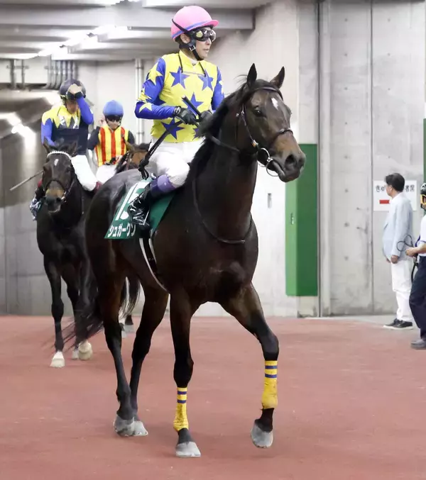【新潟大賞典】まさかの最下位１５着...「直線半ばまではおっと...」武豊騎手のキタサンブラック半弟シュガークン復活ならず