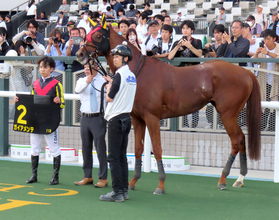 【京都１１Ｒ・都大路Ｓ】ガイアメンテがレコード勝ち　団野騎手「この年齢でもまだまだ元気いっぱい」