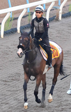 【アイビスＳＤ】“千直”マスターの菊沢一樹騎手が２５回目のコンビ・エコロレジーナと重賞初勝利へ一直線
