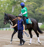 「「一発は難しかったか…」話題の２・８億円馬アトミックリーチ　新潟３Ｒの初陣は馬券圏外の４着に沈む」の画像1