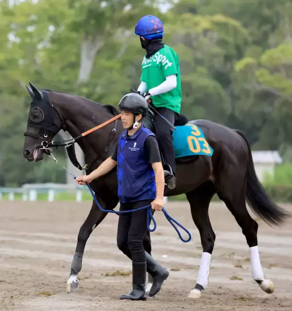 「一発は難しかったか…」話題の２・８億円馬アトミックリーチ　新潟３Ｒの初陣は馬券圏外の４着に沈む