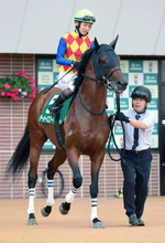 【エルムＳ】２番人気テーオーパスワードは３着　右足負傷から復帰の松山弘平騎手「砂をかぶると気持ちが切れやすい」