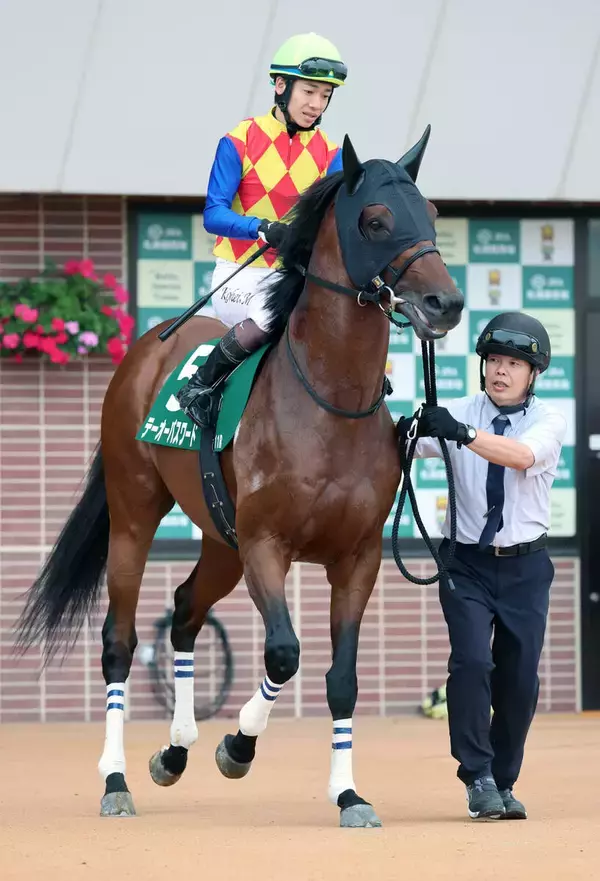 【エルムＳ】２番人気テーオーパスワードは３着　右足負傷から復帰の松山弘平騎手「砂をかぶると気持ちが切れやすい」