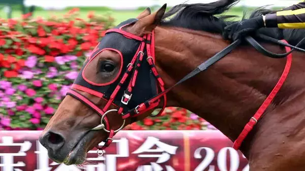 【新潟２歳Ｓ】まさかの逸走...エフフォーリア産駒インカルナータは９着大敗　４コーナー過ぎに外ラチ付近まで大きくふくらむ