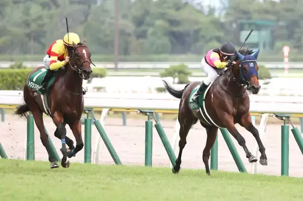 【新潟２歳Ｓ・レースメモ】インディチャンプ産駒が延べ３頭の出走で初勝利