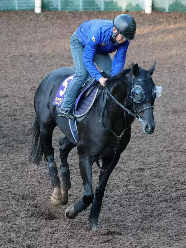 【天皇賞秋・金曜気配】クロワデュノールは史上初の父子２代での春秋連覇へ最終調整　斉藤崇調教師「変わりなくきている」