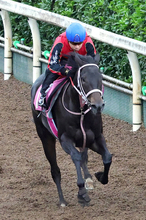 【ファンタジーＳ】「２戦目で難しさが出て…」１番人気のブライトスクリプト４着に池添謙一騎手も無念