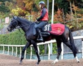 【ＰＯＧ】セレクト５・２億円ホース　サガルマータが今週注目のデビュー　福永調教師「動きの質も上がってきている」